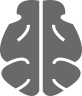 Intelligent Transcription